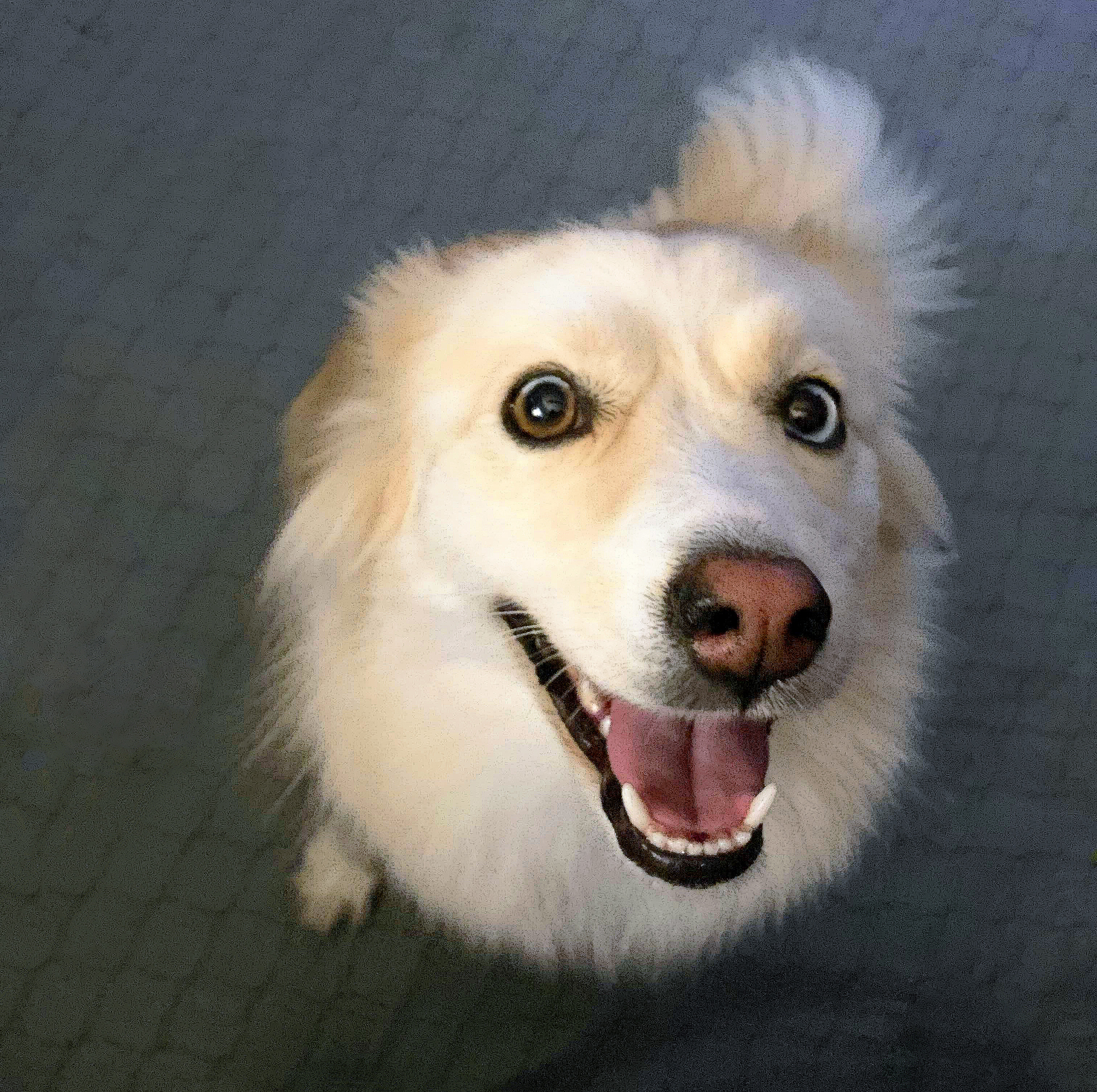 Pearls, Shiny Objects, and Mnemonics